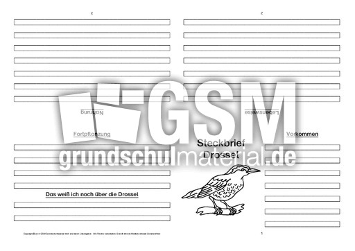 Drossel-Faltbuch-vierseitig.pdf